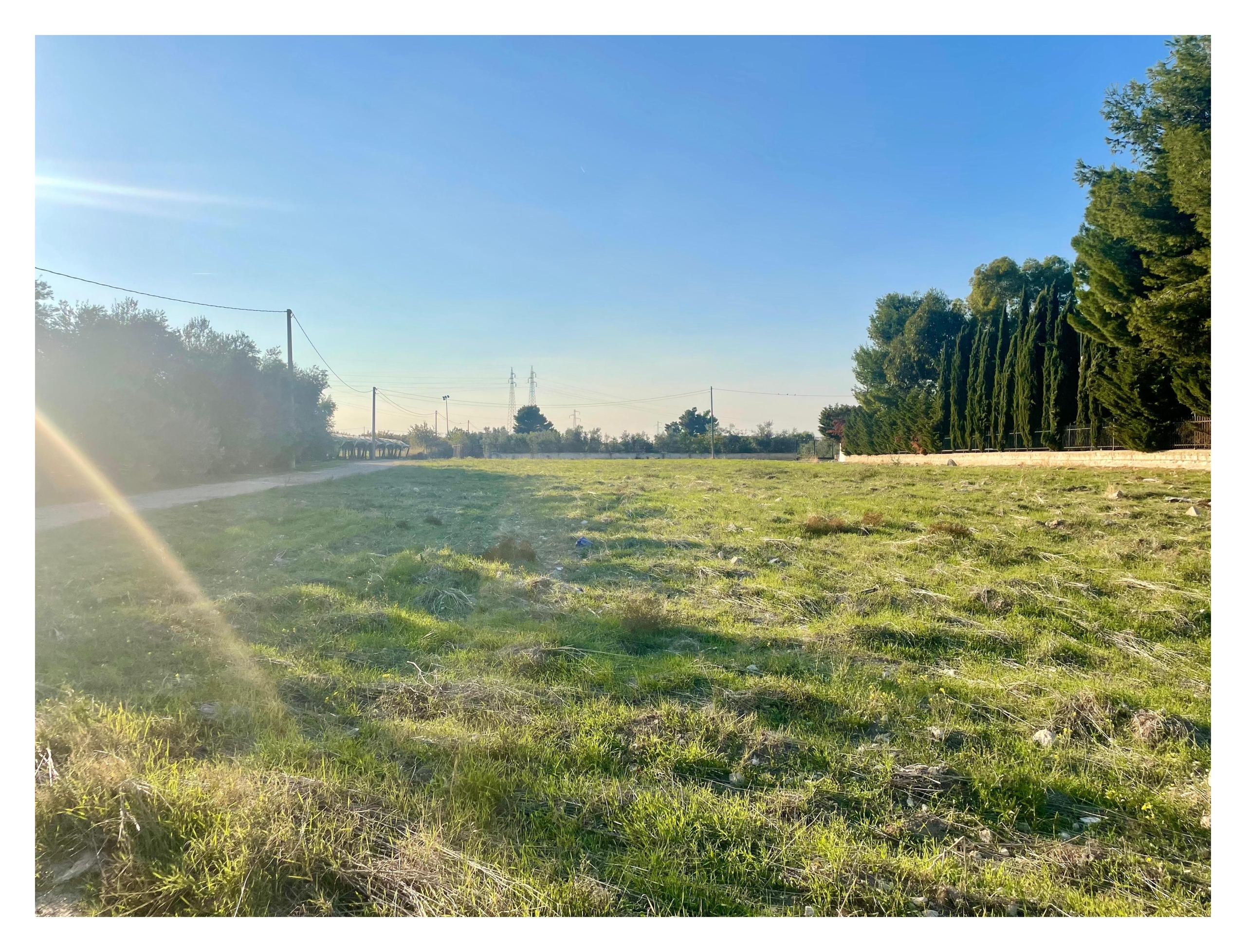 TERRENO AGRICOLO
