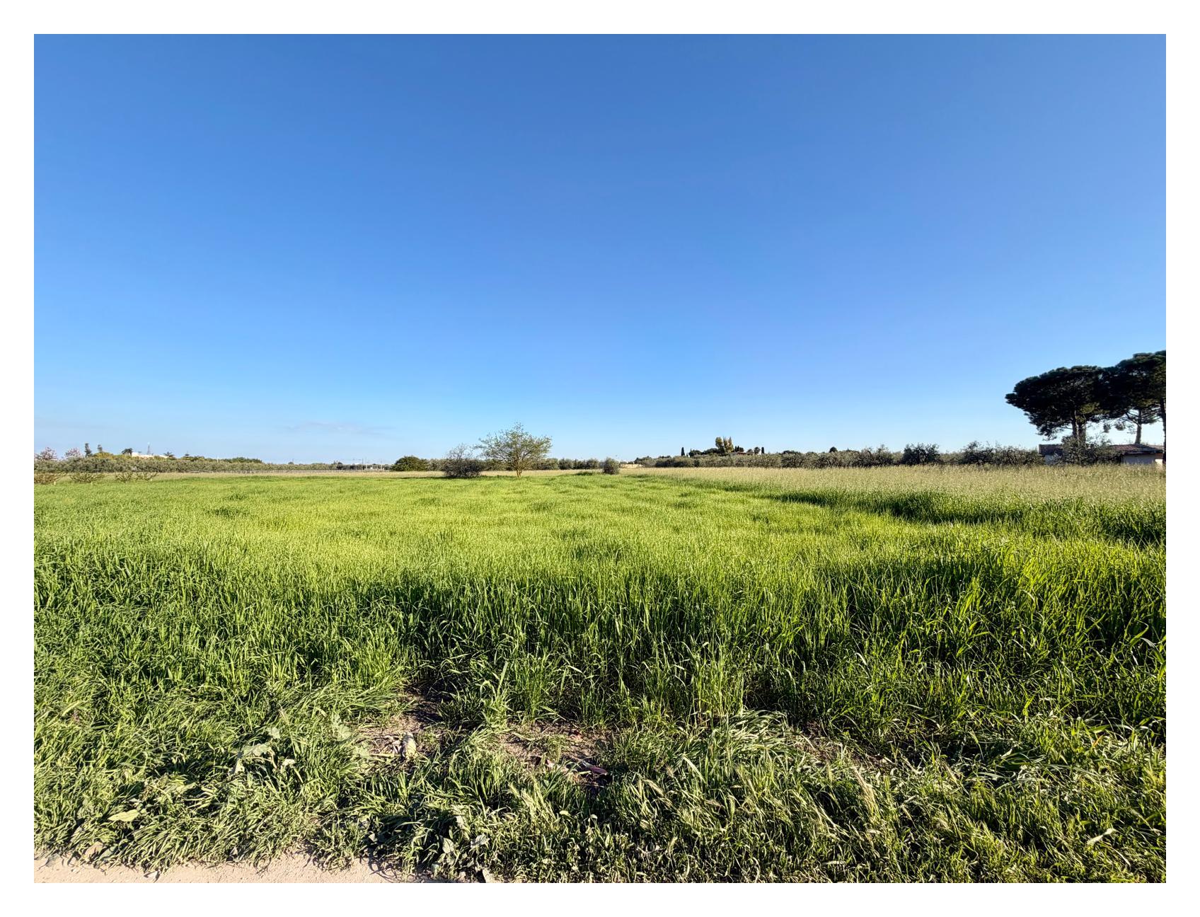 TERRENO AGRICOLO