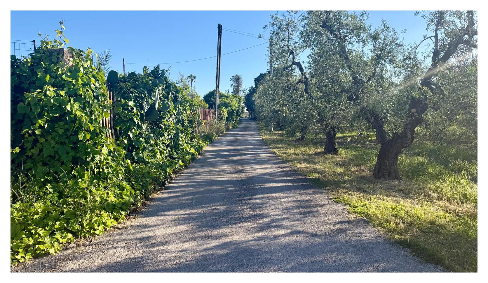 STRADA