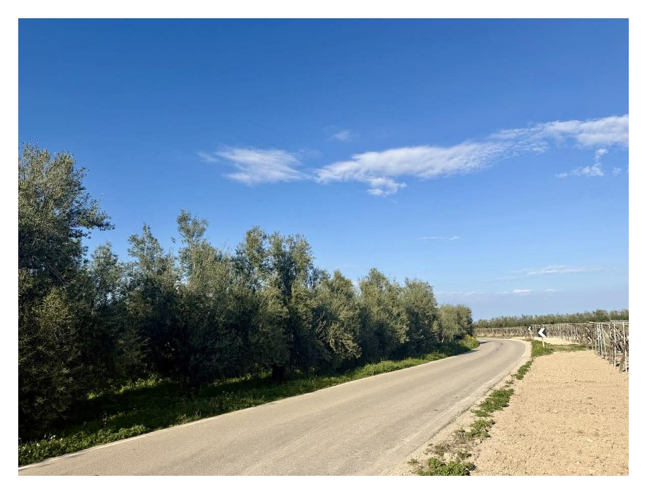 ACCESSO STRADA