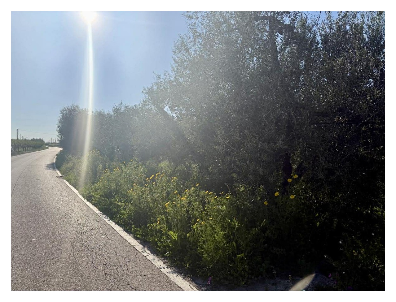 ACCESSO STRADA